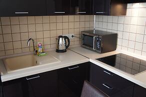 Hotel in Apartment Irkutsk