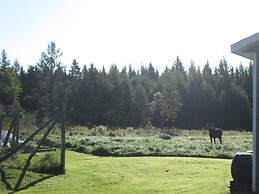 Le Jardin des Mésanges