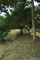 Hacienda Don Vicente Bungalows - Tarapoto