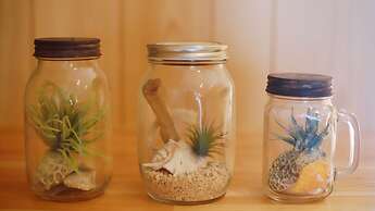 star light terrace TERUYA