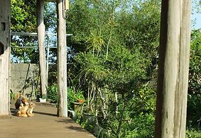 star light terrace TERUYA