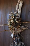 star light terrace TERUYA