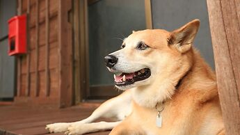 star light terrace TERUYA