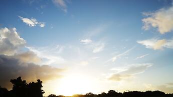 star light terrace TERUYA