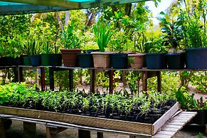 Serenity Island Resort