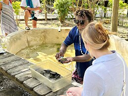 Serenity Island Resort