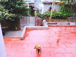 D'Home Homestay Cat Ba