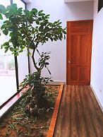 D'Home Homestay Cat Ba