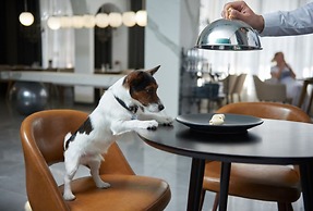 Boutique Hotel 39