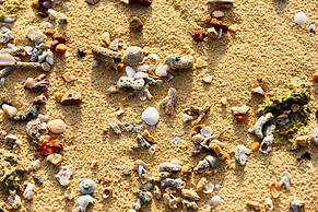 Phayamas Private Beach Resort and Island Brew - Adults Only