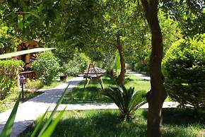 Gunes Pansiyon