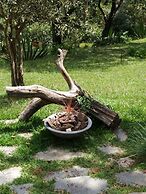 Pousada Villa Severina