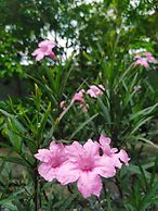 Ao Luek Panoramic Pool Villa