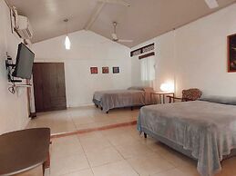 Jacaranda Hotel & Jungle Garden