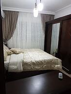 Luxury Furnished Apartment