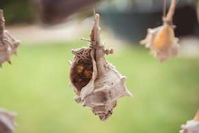 Kalogirou Stone House