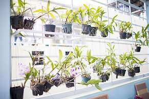 CK Saigon Central Hotel