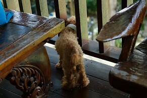 Sun Moon Lake Full House Resort