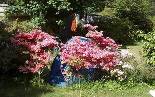 Camping Valle Romantica