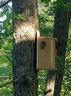 Maurrocks Bed & Breakfast