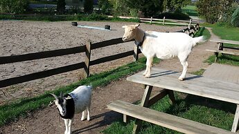 Ferienhof Gut Oestergaard