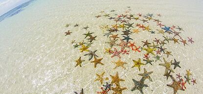 Maweni Beach Cottages