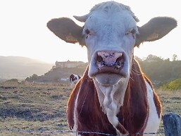 Chambres d'hôtes Souffle Nature