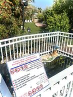 Magical in the Galilee