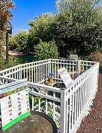 Magical in the Galilee