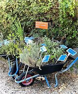 Magical in the Galilee