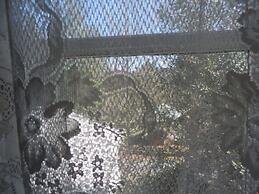 Franklin Terrace Bed and Breakfast