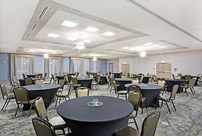 Hilton Garden Inn Houston Hobby Airport, TX