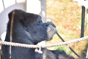 Vessel Inn Sakae Station