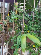 Little Home Hostel Nha Trang