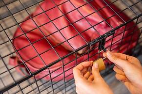 Cinema Hostel Jerusalem