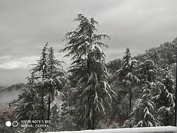 Mountain View Resort