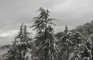 Mountain View Resort