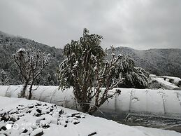 Mountain View Resort