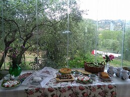 La Gabbianella e il Gatto