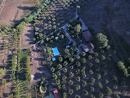 La Gabbianella e il Gatto