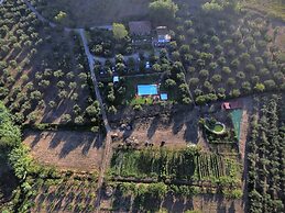 La Gabbianella e il Gatto