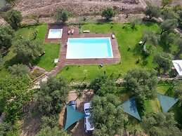 La Gabbianella e il Gatto