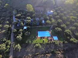 La Gabbianella e il Gatto