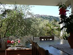 La Gabbianella e il Gatto