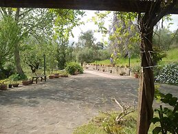 La Gabbianella e il Gatto