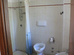 La Gabbianella e il Gatto