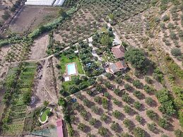 La Gabbianella e il Gatto