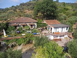 La Gabbianella e il Gatto