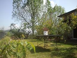 La Gabbianella e il Gatto