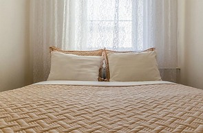 Ludwig Apartment Pervaya Sovetskaya 12